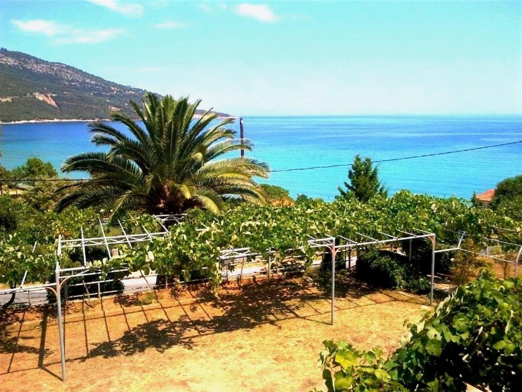 Hotel Kinira Bagian luar foto
